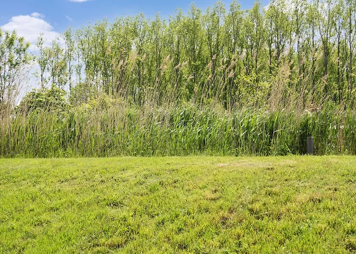 Ferienhaus Near Kaag Lakes And Leiden Canals *